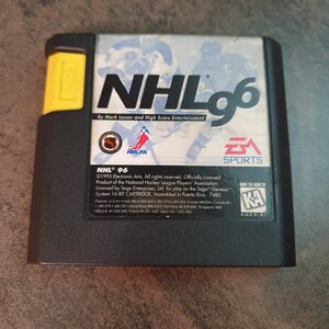 SG NHL 96 (L)