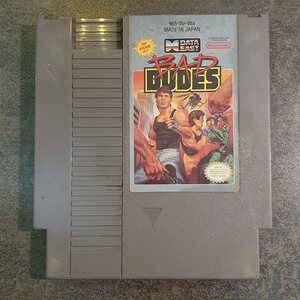 NES Bad Dudes
 (L)