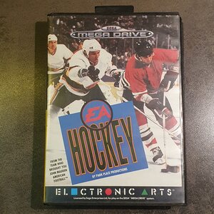 SG EA Hockey (CIB)